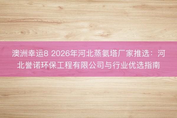 澳洲幸運8 2026年河北蒸氨塔廠家推選：河北譽諾環保工程有限公司與行業優選指南