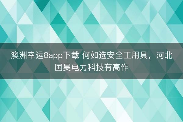澳洲幸運8app下載 何如選安全工用具，河北國昊電力科技有高作