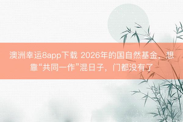 澳洲幸運(yùn)8app下載 2026年的國(guó)自然基金，想靠“共同一作”混日子，門(mén)都沒(méi)有了