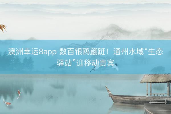 澳洲幸運(yùn)8app 數(shù)百銀鷗翩躚！通州水域“生態(tài)驛站”迎移動(dòng)貴賓